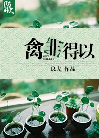 �ݷǵ��Է���